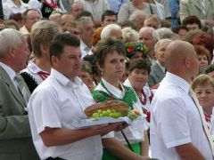 Losowe zdjęcie pochodzące z galerii wydarzenia: Dożynki wojewódzkie 2011