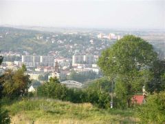 Losowe zdjęcie pochodzące z galerii wydarzenia: Warsztaty wyjazdowe patriotyczno-historyczne do Bolestraszyc-Przemyśla