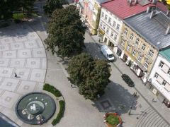 Losowe zdjęcie pochodzące z galerii wydarzenia: Warsztaty wyjazdowe patriotyczno-historyczne do Bolestraszyc-Przemyśla