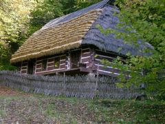 Losowe zdjęcie pochodzące z galerii wydarzenia: Warsztaty wyjazdowe w Bieszczady