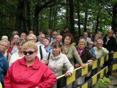 Losowe zdjęcie pochodzące z galerii wydarzenia: Warsztaty wyjazdowe do Wrocławia-Świdnicy-Książa