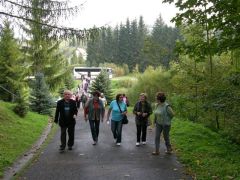 Losowe zdjęcie pochodzące z galerii wydarzenia: Warsztaty wyjazdowe w Bieszczady