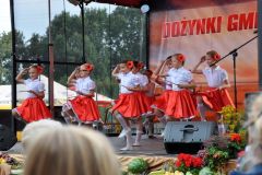 Losowe zdjęcie pochodzące z galerii wydarzenia: Gminne Dożynki 2013