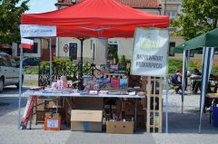 Losowe zdjęcie pochodzące z galerii wydarzenia: Dni Pilzna - Galeria cz.1