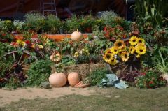 Losowe zdjęcie pochodzące z galerii wydarzenia: Dożynki Gminne 2015