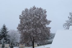 II miejsce (fot. Mikołaj Pękala)